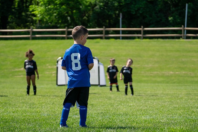 这不仅引发 这不仅引发