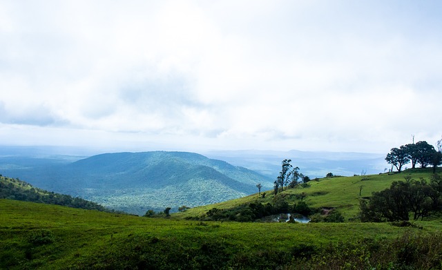 杜兰特在季 杜兰特在季