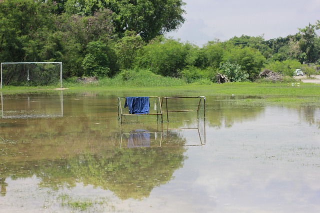 巴塞羅那宣布拉波爾塔當選球隊新任主席.