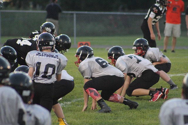 团队的生理 团队的生理