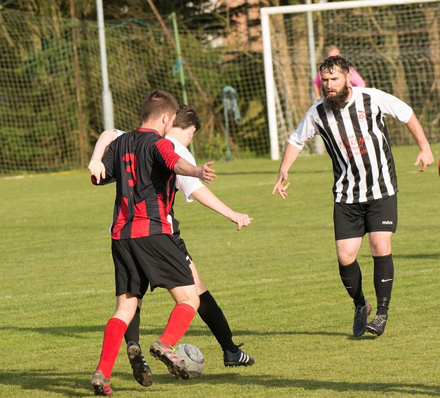 令人满意的 令人满意的