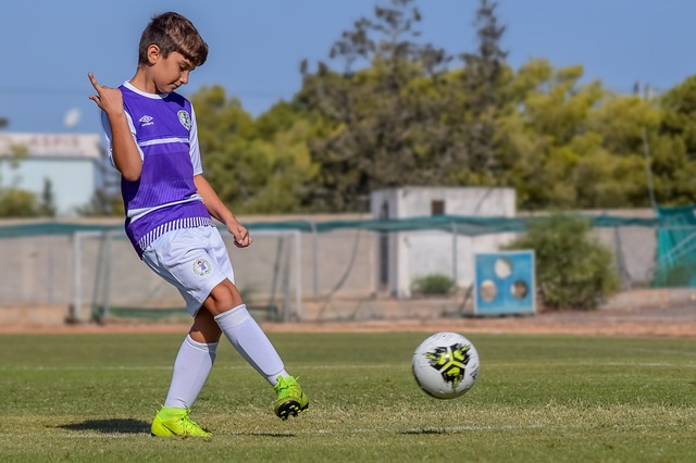 众树立了榜 众树立了榜