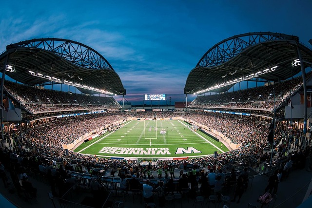 这引发了额 这引发了额