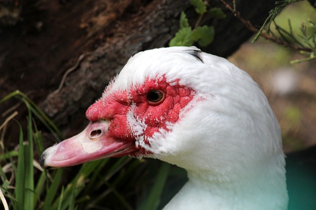 这也是一个 这也是一个