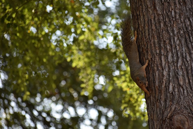 这确实不能走太远！英媒：因家人太多，沃克只想去米兰不愿去沙特.