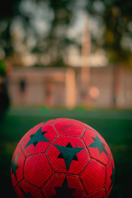 要在竞争激 要在竞争激