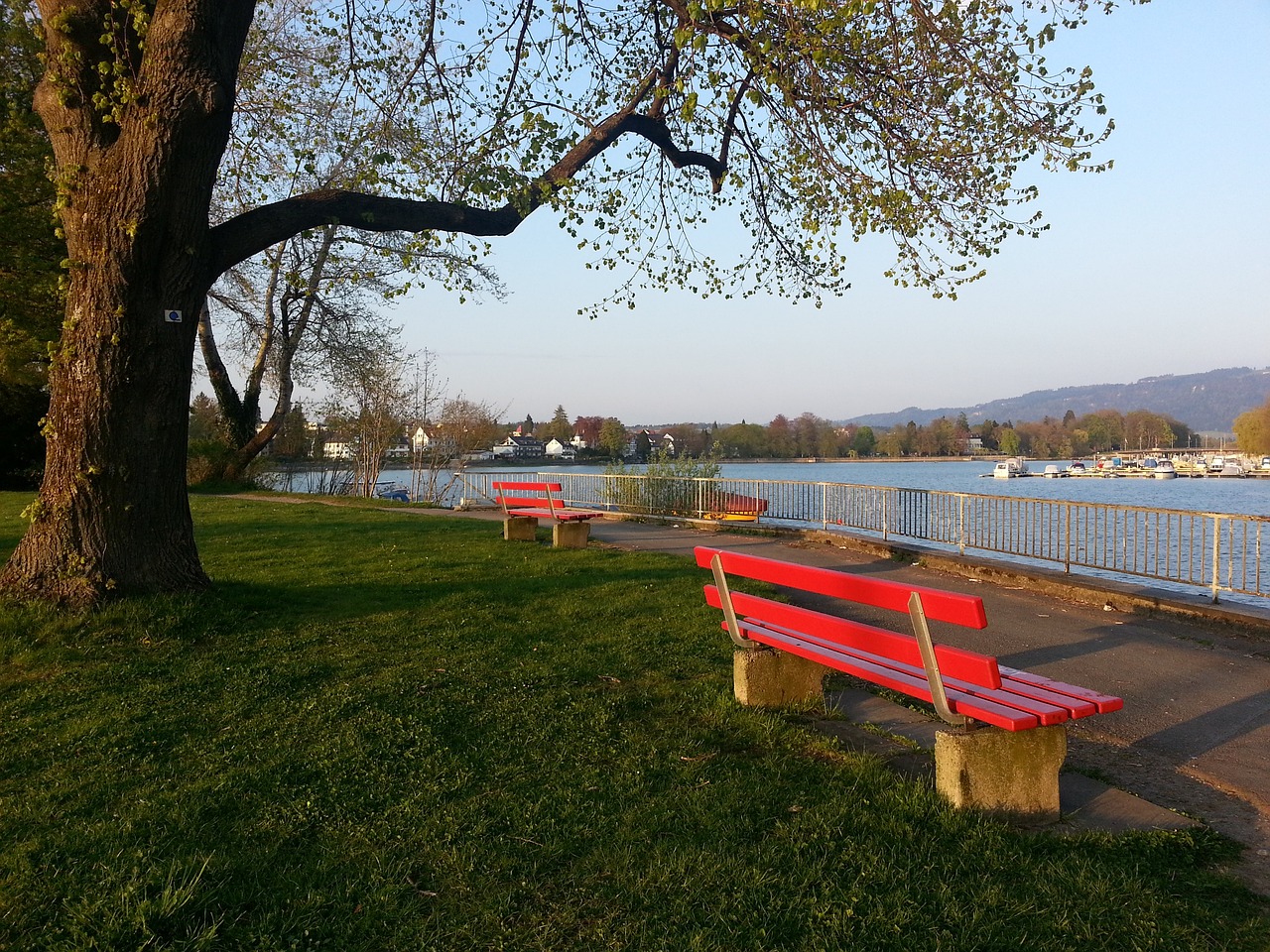 导和良好的 导和良好的