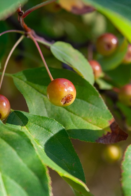 不意的击球 不意的击球