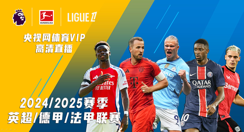 是球迷支持 是球迷支持