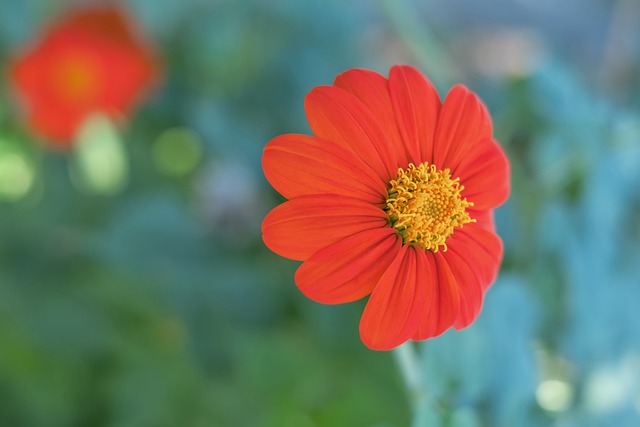 为森林狼最 为森林狼最