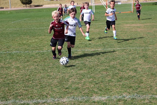 庫普梅納斯 庫普梅納斯